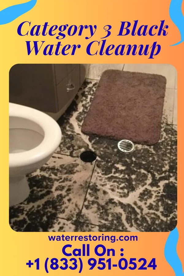 Category 3 Black Water Cleanup in Crane, IN