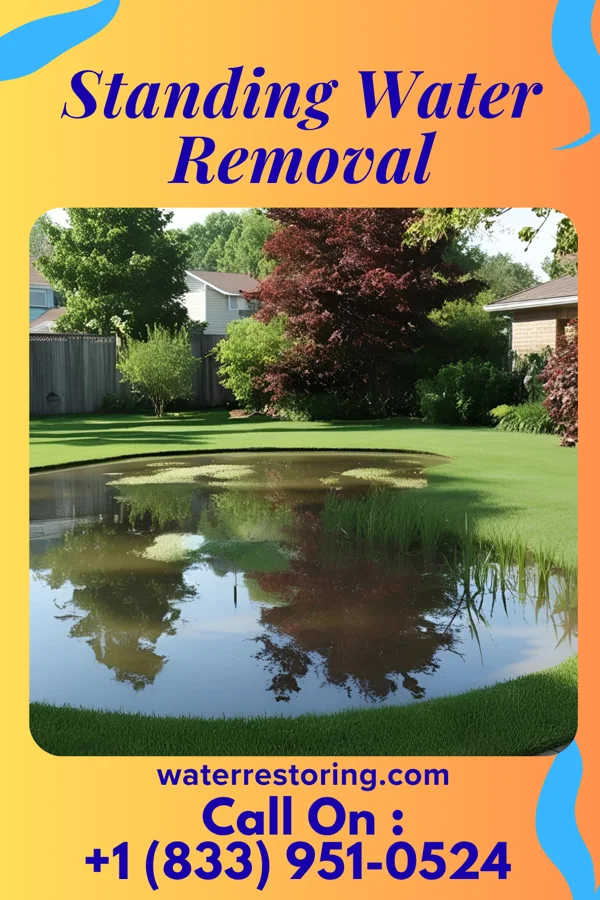 Standing Water Removal in Crane, IN